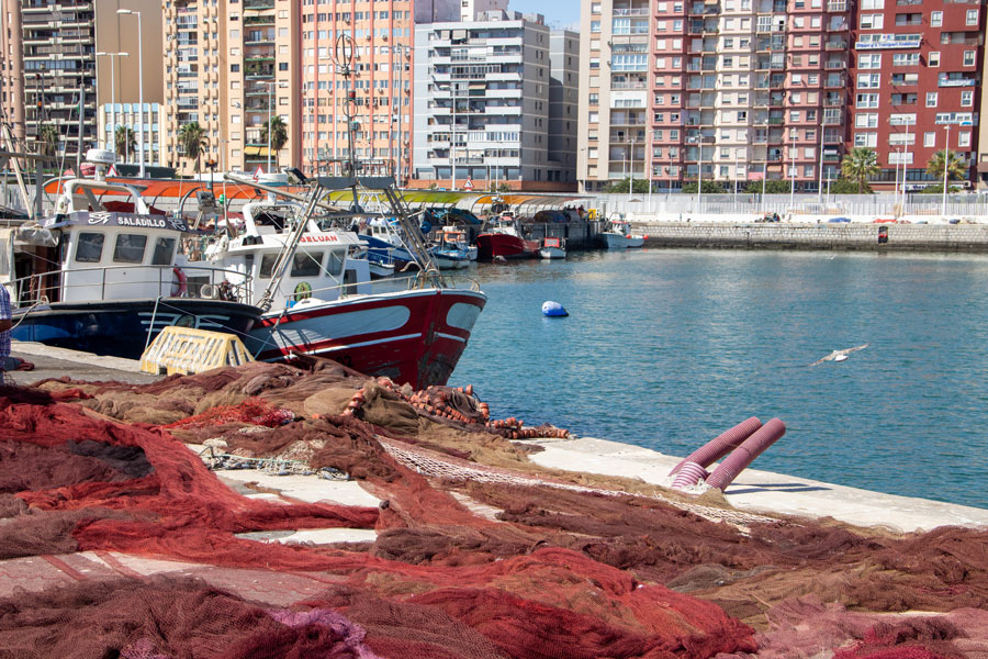 Puerto pesquero de Algeciras